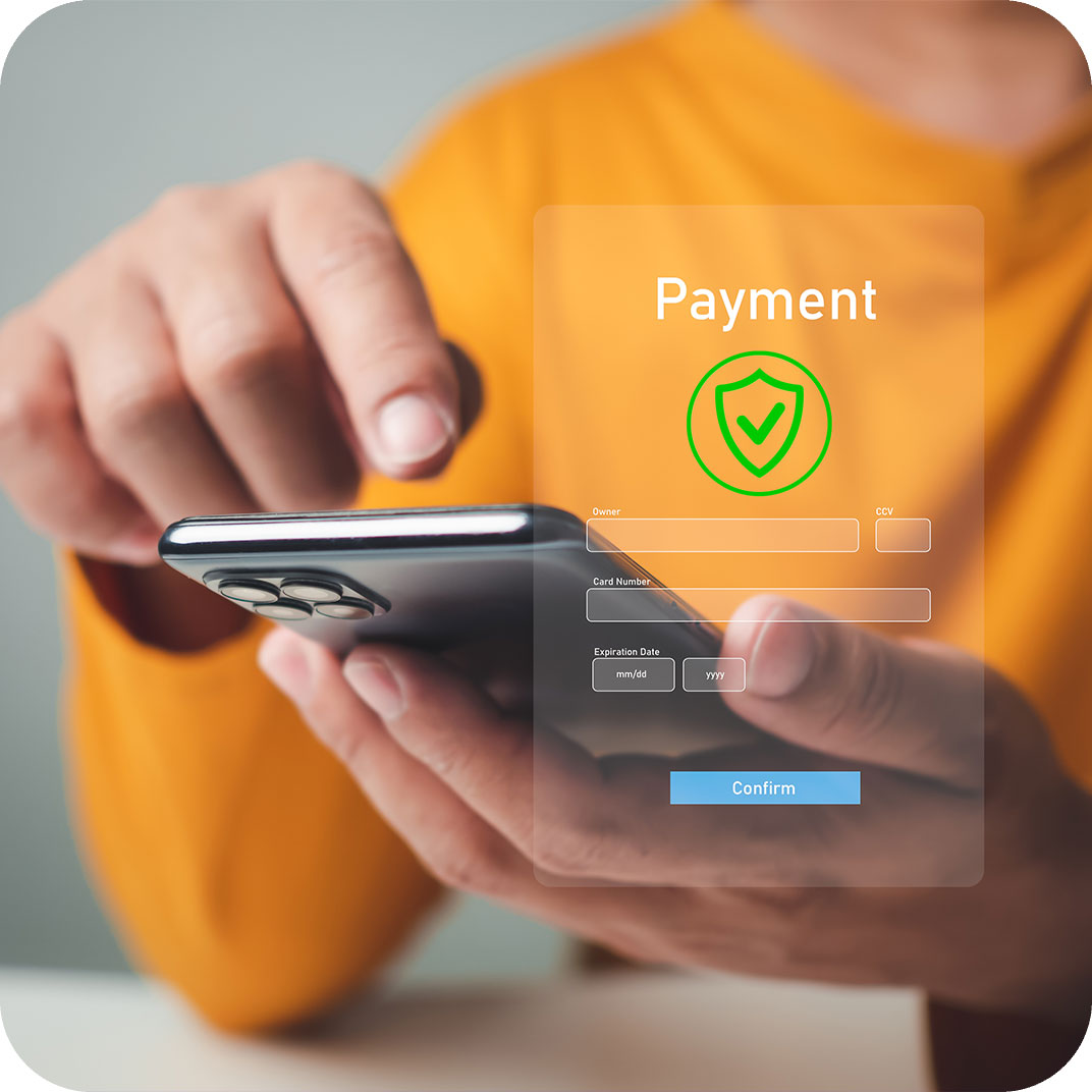 Secure Payment Gateway Interface